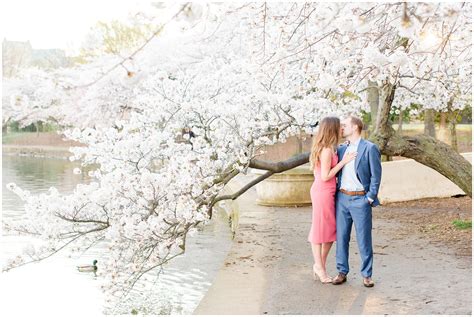 Cherry blossom dating site - 